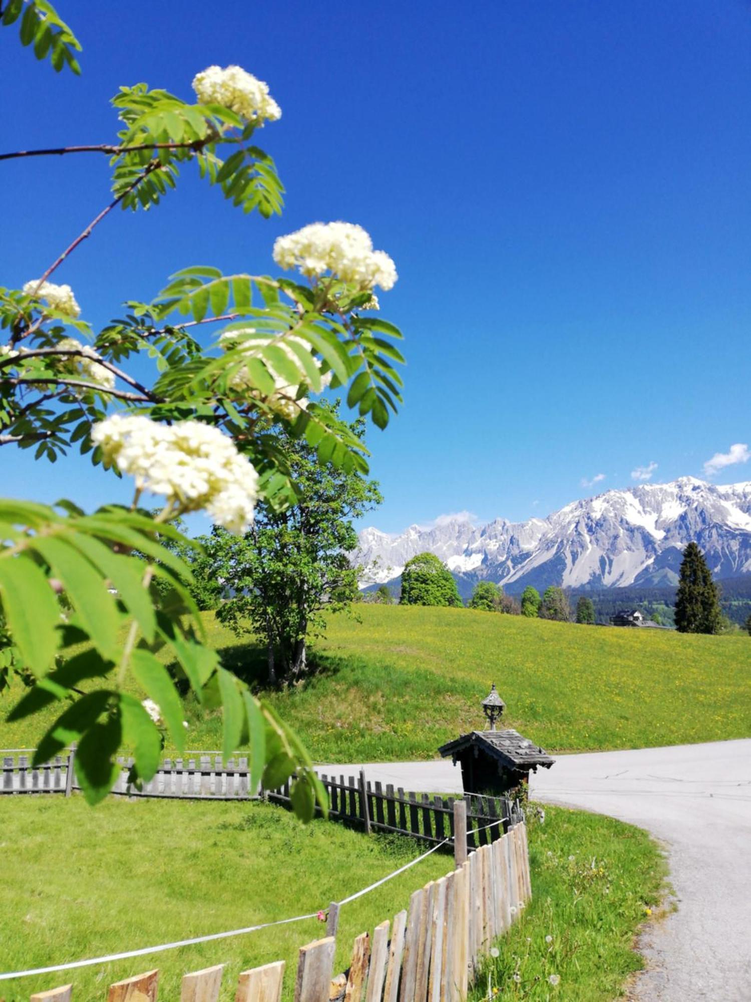 Pension Stammerhof Schladming Exterior foto