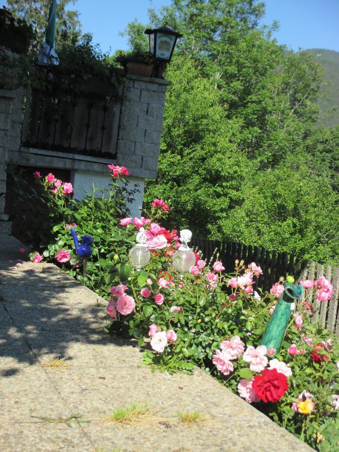 Pension Stammerhof Schladming Exterior foto